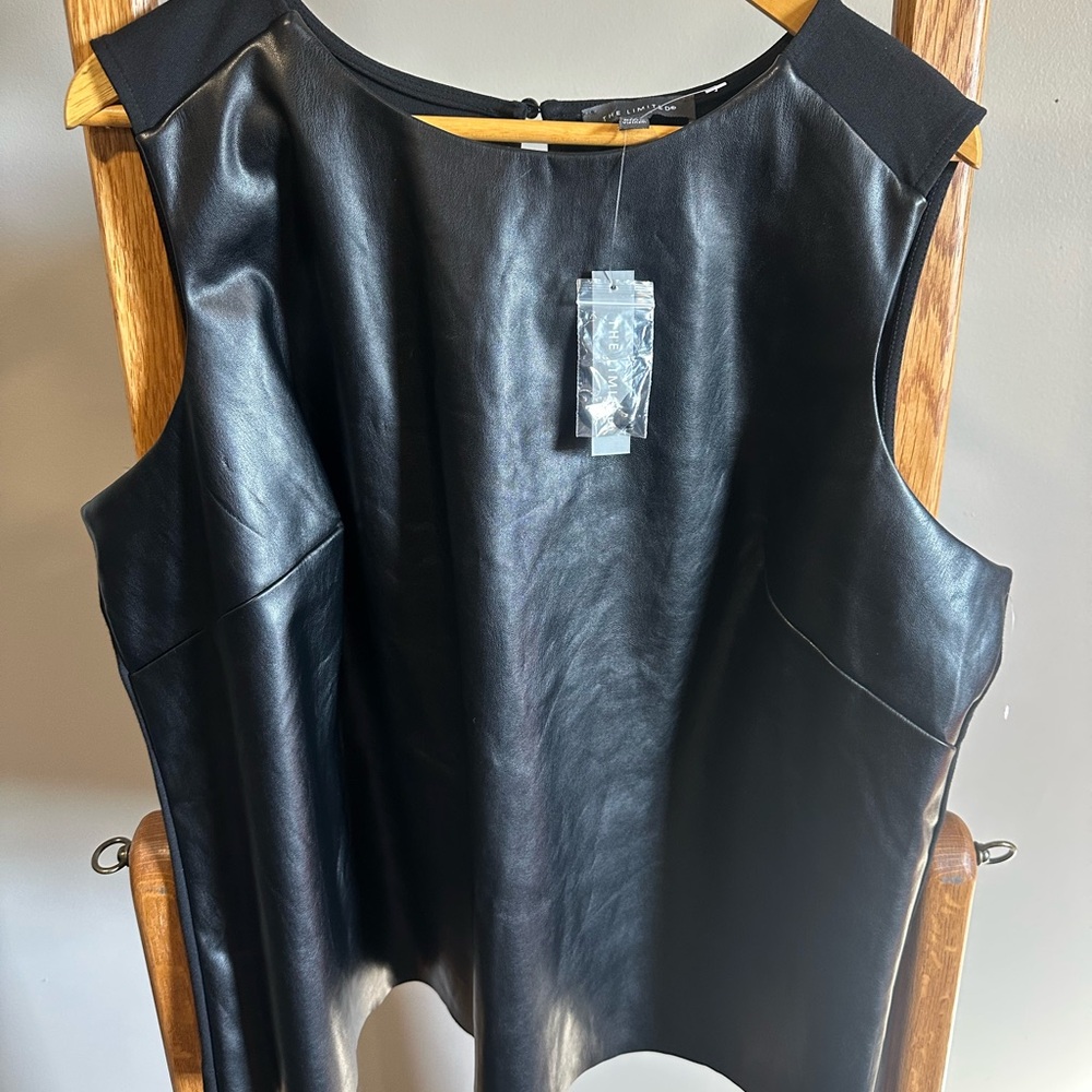 The Limited Black Faux Leather Top